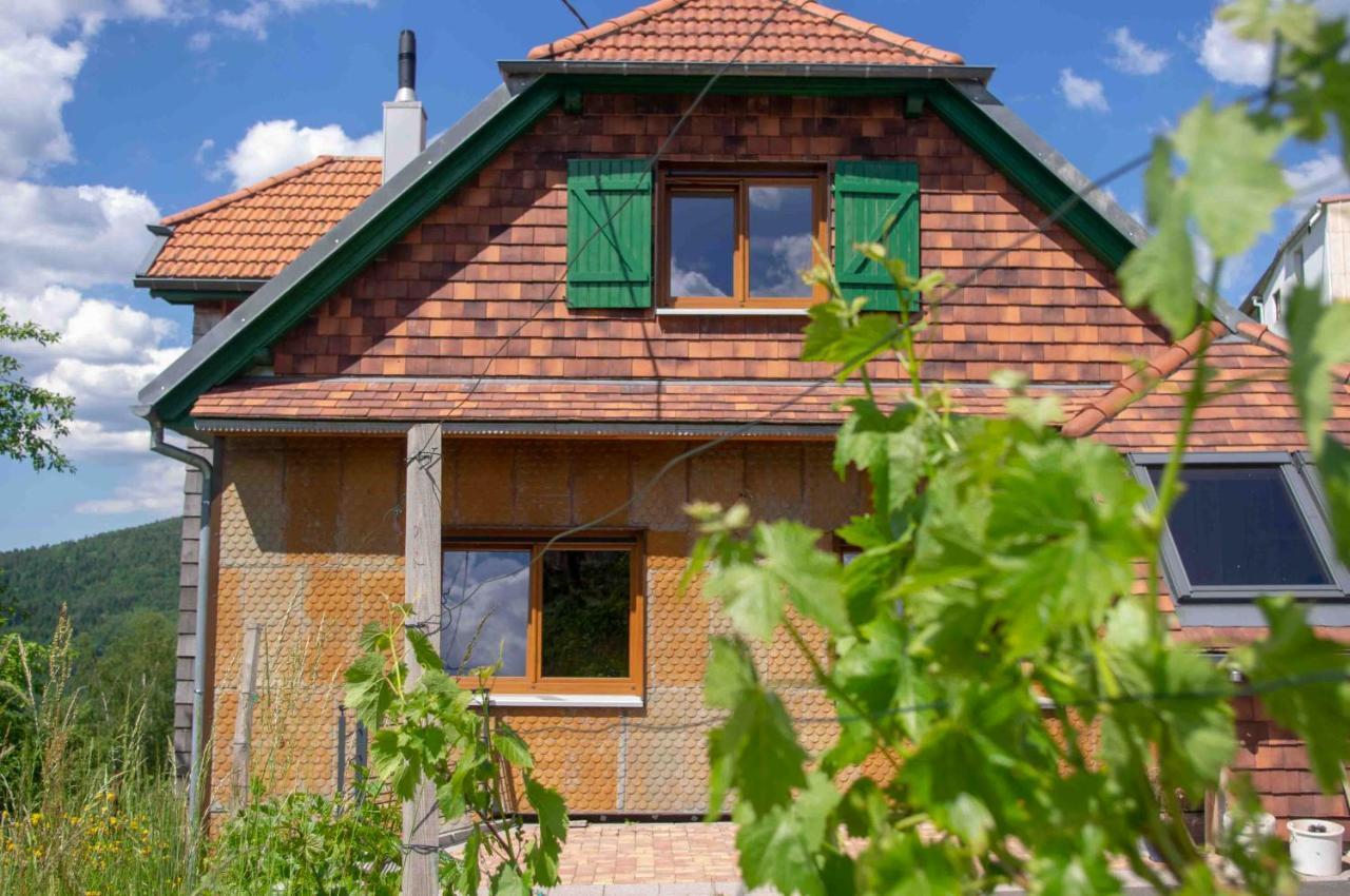 Le Gite Du Wildbach Wildersbach Экстерьер фото